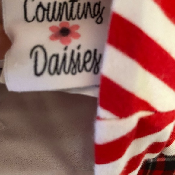 Counting Daisies Holiday Dress- 3/6 months - Picture 6 of 8